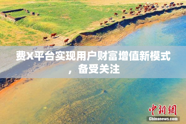 费X平台实现用户财富增值新模式，备受关注