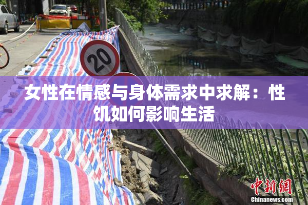 女性在情感与身体需求中求解：性饥如何影响生活