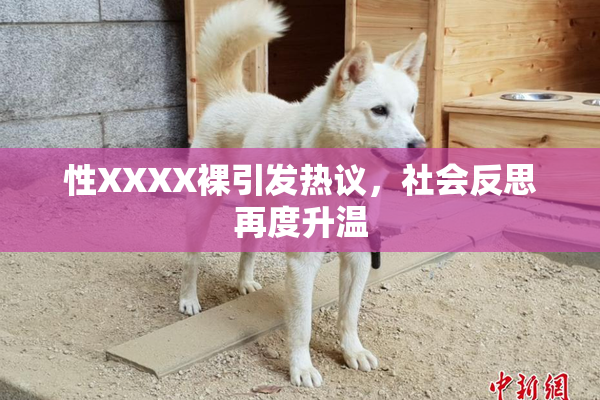 性XXXX裸引发热议，社会反思再度升温