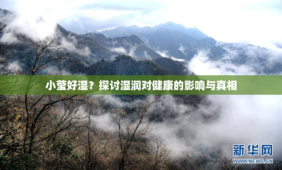 小莹好湿？探讨湿润对健康的影响与真相