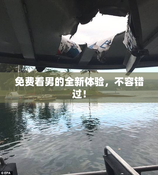 免费看男的全新体验，不容错过！