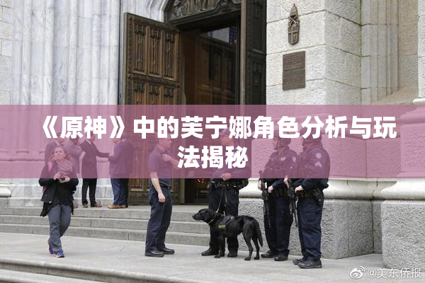 《原神》中的芙宁娜角色分析与玩法揭秘