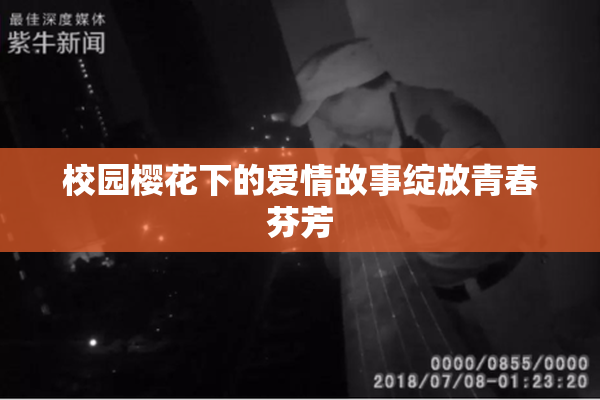校园樱花下的爱情故事绽放青春芬芳