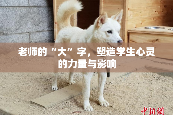老师的“大”字，塑造学生心灵的力量与影响
