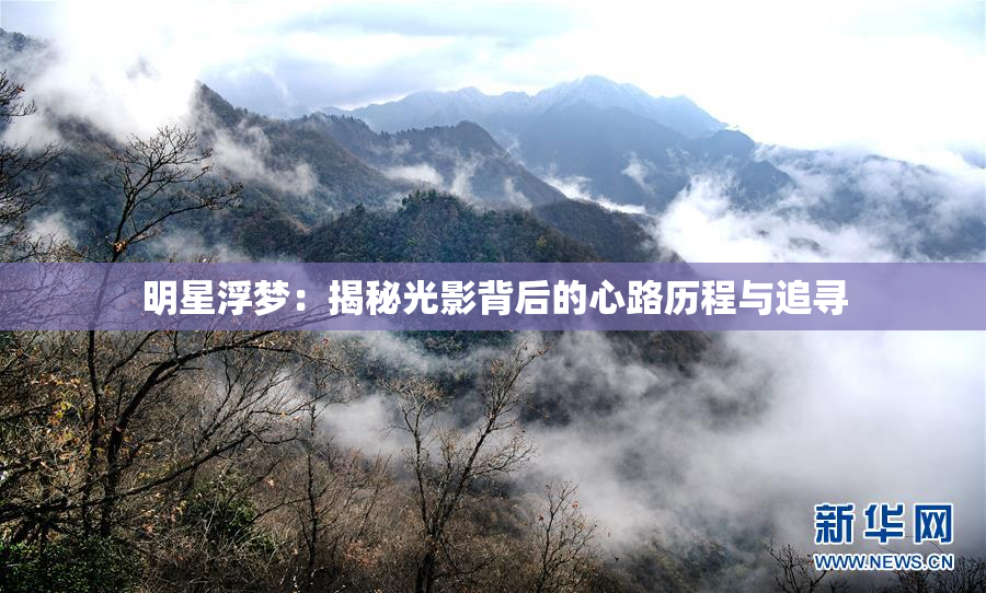 明星浮梦：揭秘光影背后的心路历程与追寻