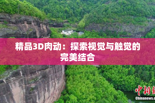 精品3D肉动：探索视觉与触觉的完美结合