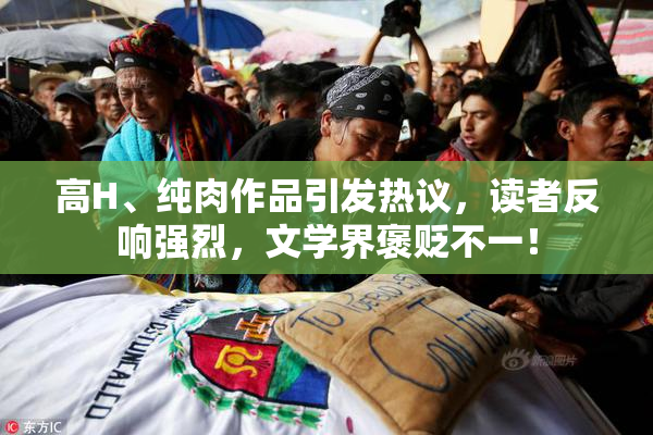 高H、纯肉作品引发热议，读者反响强烈，文学界褒贬不一！