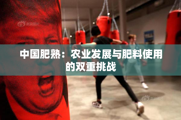 中国肥熟：农业发展与肥料使用的双重挑战