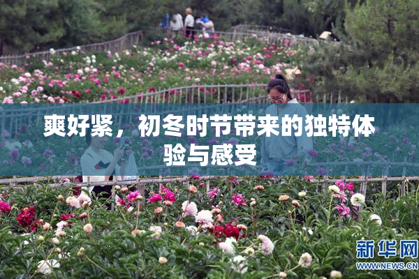 爽好紧，初冬时节带来的独特体验与感受