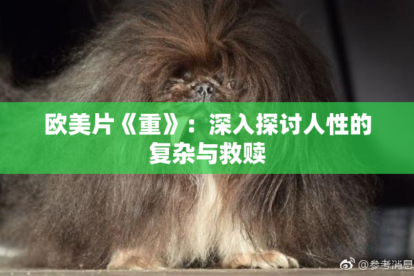 欧美片《重》：深入探讨人性的复杂与救赎
