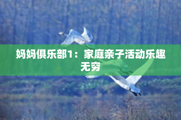 妈妈俱乐部1：家庭亲子活动乐趣无穷