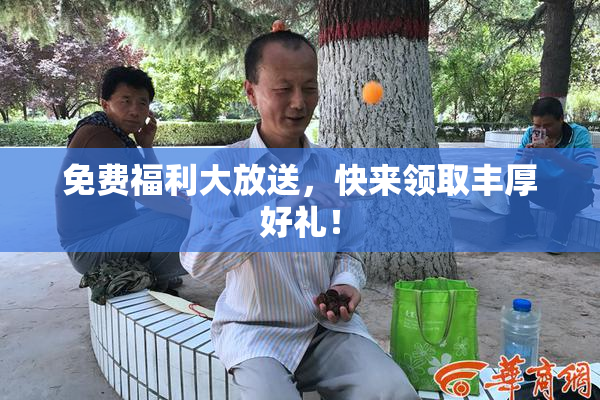 免费福利大放送，快来领取丰厚好礼！