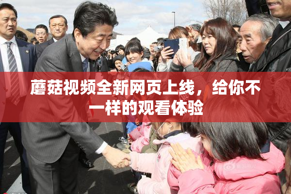 蘑菇视频全新网页上线，给你不一样的观看体验