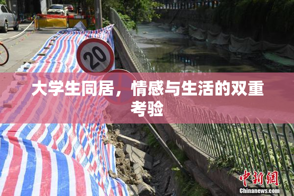 大学生同居，情感与生活的双重考验