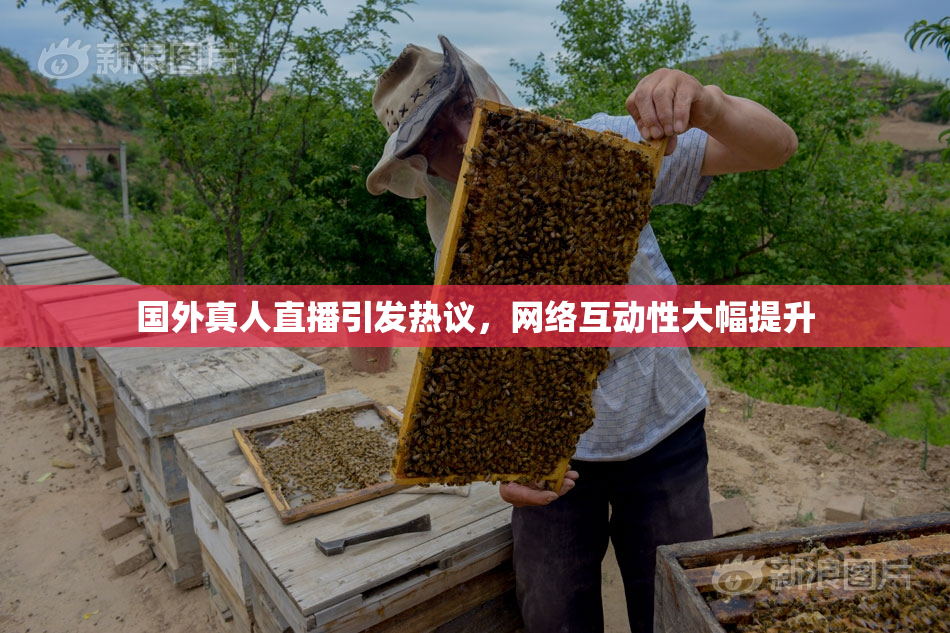 国外真人直播引发热议，网络互动性大幅提升