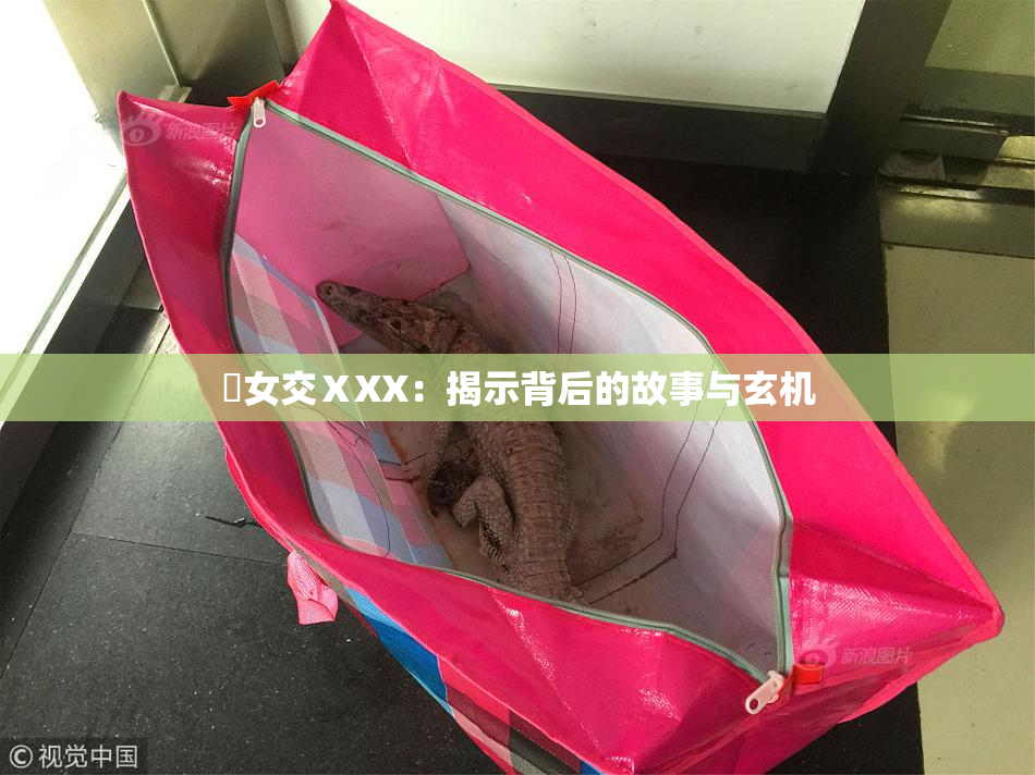 乣女交ⅩXX：揭示背后的故事与玄机