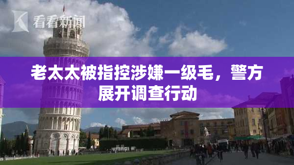老太太被指控涉嫌一级毛，警方展开调查行动