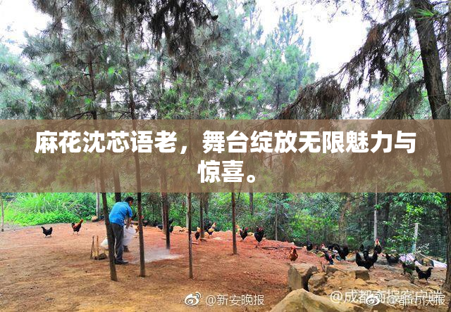 麻花沈芯语老，舞台绽放无限魅力与惊喜。