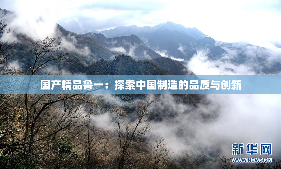 国产精品鲁一：探索中国制造的品质与创新
