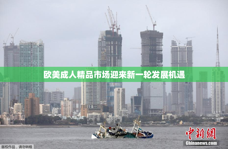 欧美成人精品市场迎来新一轮发展机遇