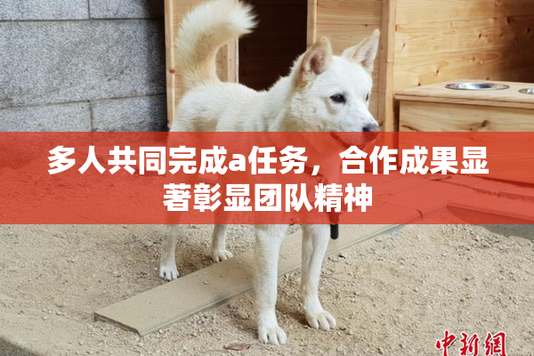 多人共同完成a任务，合作成果显著彰显团队精神