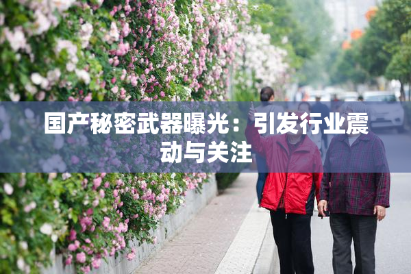 国产秘密武器曝光：引发行业震动与关注