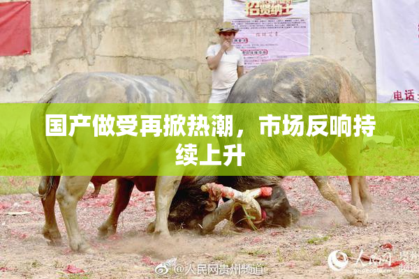 国产做受再掀热潮，市场反响持续上升
