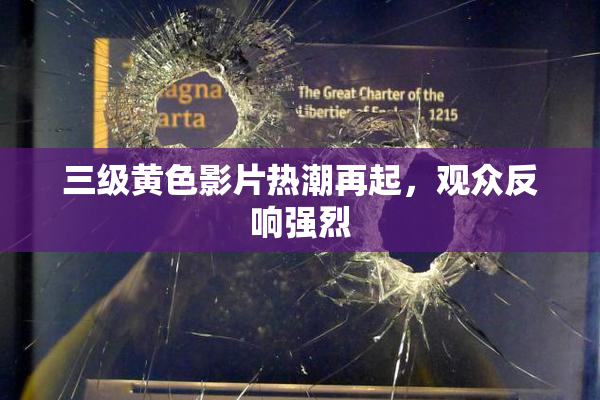 三级黄色影片热潮再起，观众反响强烈