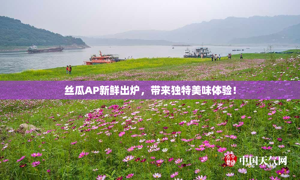 丝瓜AP新鲜出炉，带来独特美味体验！
