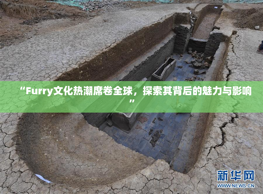“Furry文化热潮席卷全球，探索其背后的魅力与影响”