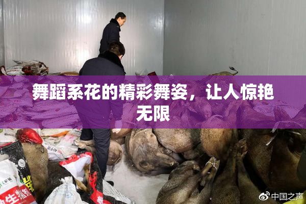 舞蹈系花的精彩舞姿，让人惊艳无限