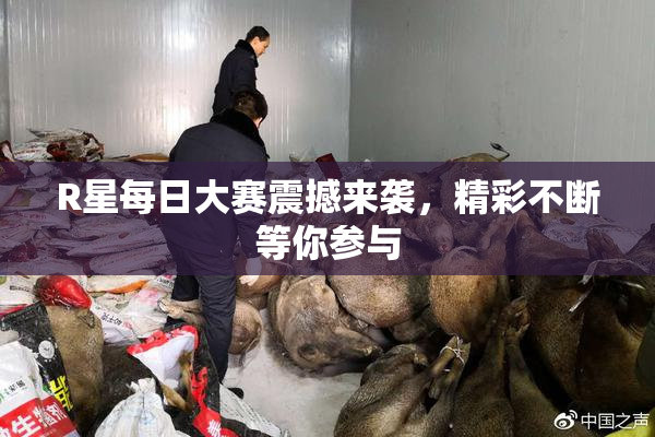R星每日大赛震撼来袭，精彩不断等你参与