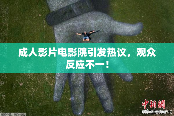 成人影片电影院引发热议，观众反应不一！