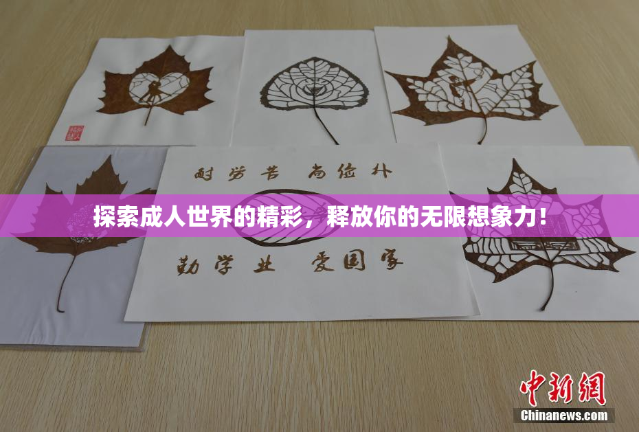 探索成人世界的精彩，释放你的无限想象力！