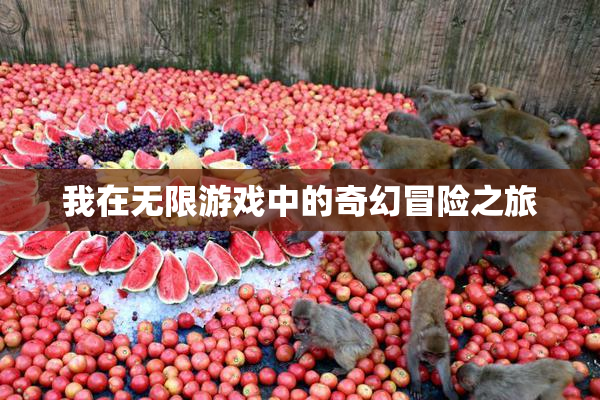 我在无限游戏中的奇幻冒险之旅
