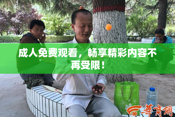 成人免费观看，畅享精彩内容不再受限！