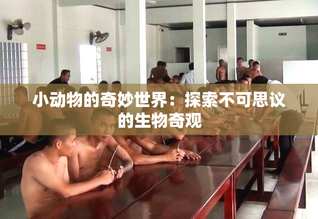 小动物的奇妙世界：探索不可思议的生物奇观