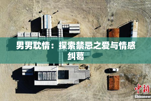 男男耽情：探索禁忌之爱与情感纠葛