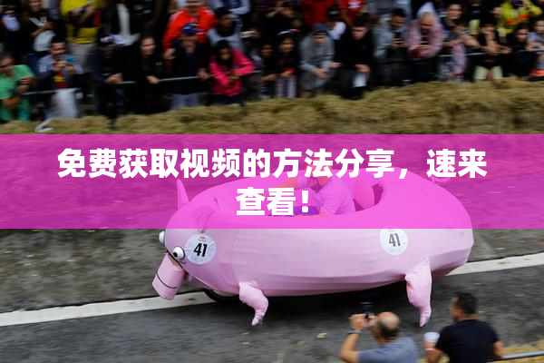 免费获取视频的方法分享，速来查看！