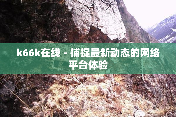 k66k在线 - 捕捉最新动态的网络平台体验