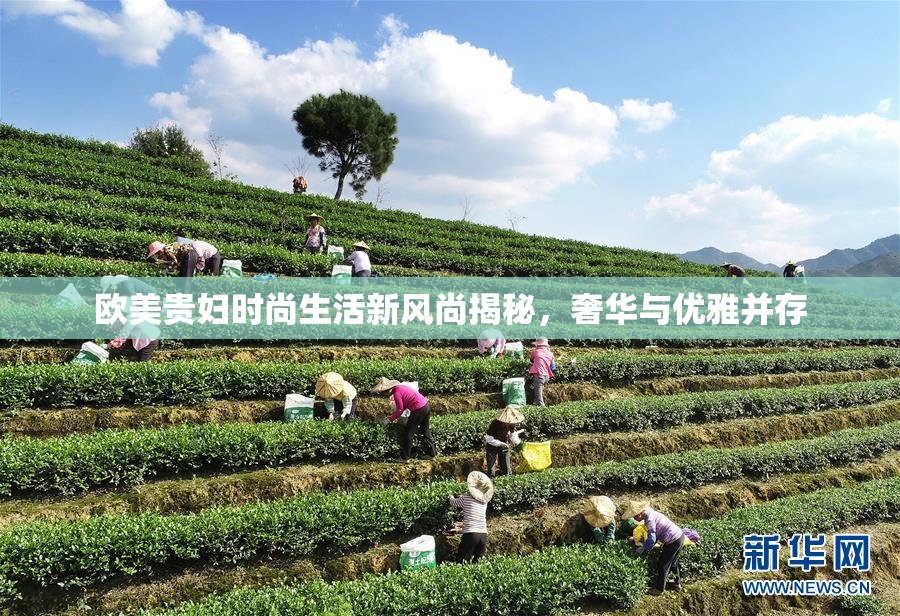 欧美贵妇时尚生活新风尚揭秘，奢华与优雅并存