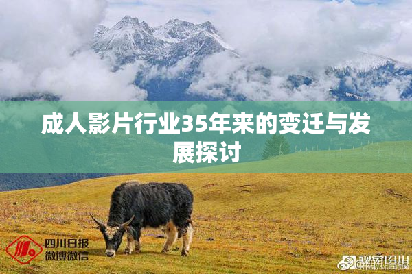 成人影片行业35年来的变迁与发展探讨