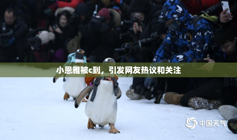 小恩雅被c到，引发网友热议和关注