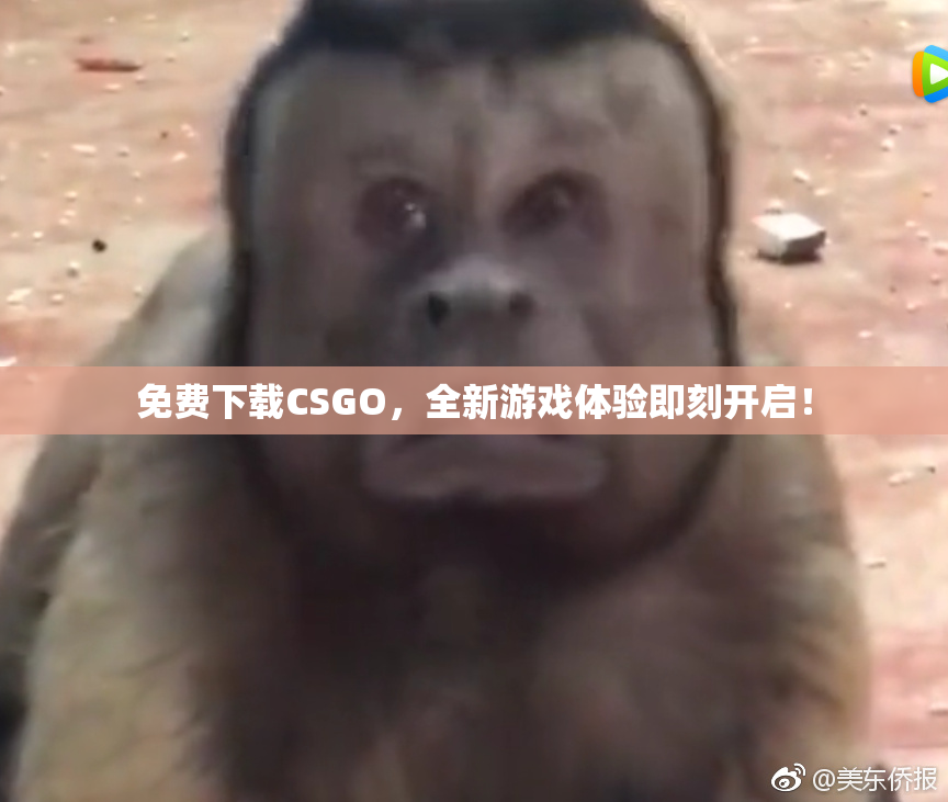 免费下载CSGO，全新游戏体验即刻开启！