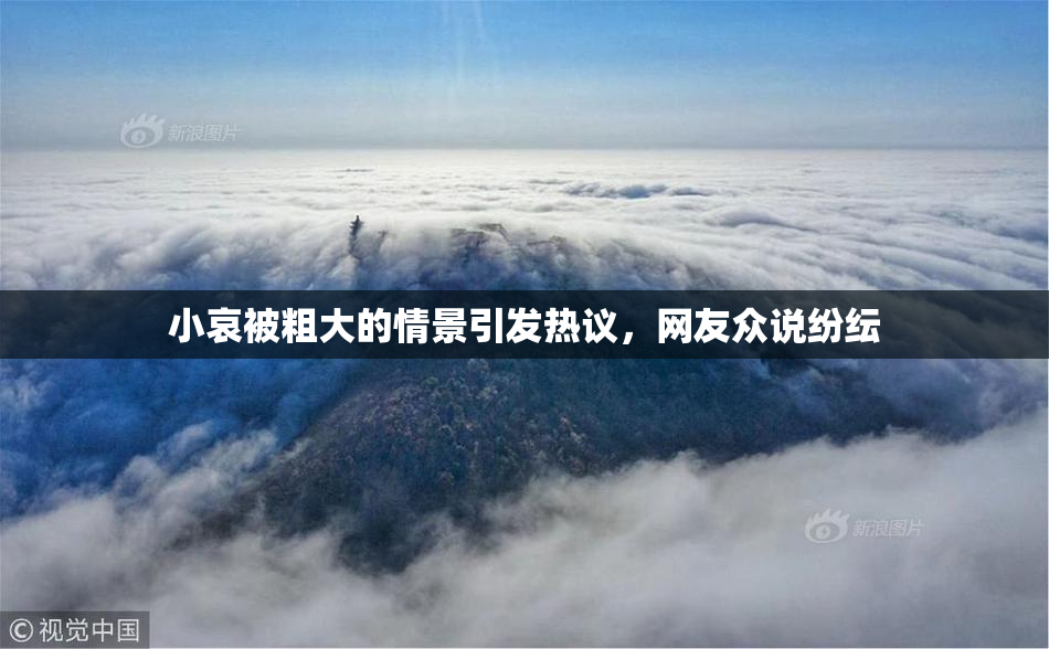 小哀被粗大的情景引发热议，网友众说纷纭