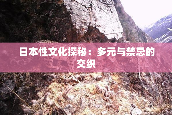 日本性文化探秘：多元与禁忌的交织