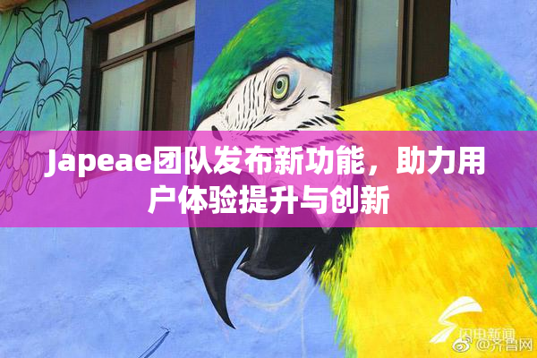 Japeae团队发布新功能，助力用户体验提升与创新
