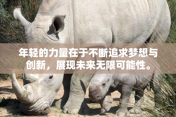 年轻的力量在于不断追求梦想与创新，展现未来无限可能性。