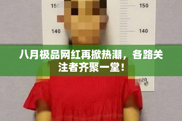 八月极品网红再掀热潮，各路关注者齐聚一堂！