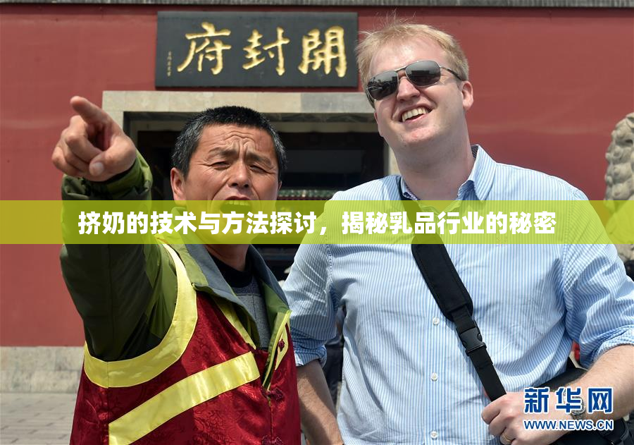 挤奶的技术与方法探讨，揭秘乳品行业的秘密